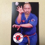 ベトナムの総合格闘技ボビナムがオリンピック種目になったらどうなる？